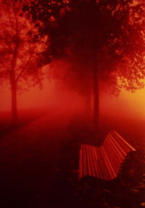 Venise. L'Île de Burano. Quand le soleil joue à cache-cache avec le brouillard, ça peut donner des choses comme ça...